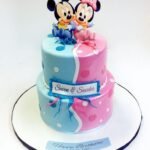 Twin Babies Cake #04